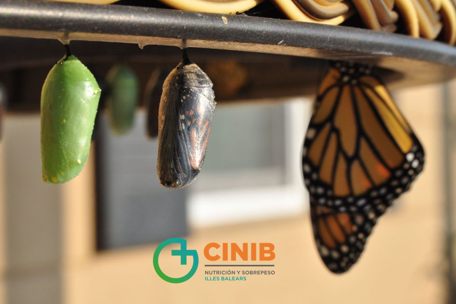 Transformación de vida y cambios de estilo de vida