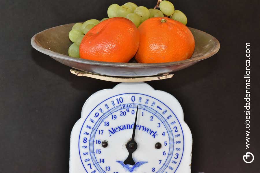 Metabolismo basal y requerimento calórico