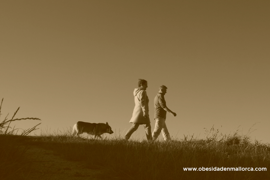 Diabetes: pequeños cambios que podemos hacer en nuestro día a día para disminuir el riesgo