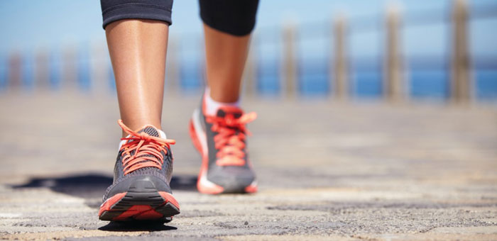 El equipo del Doctor Pagán